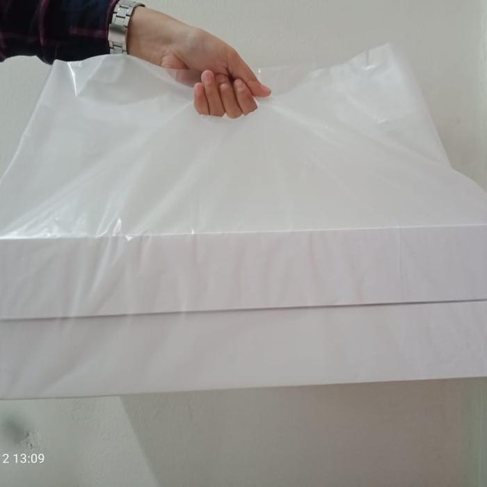 beb6- Kantong Plastik Box Pizza 30 Isi 50 Pcs