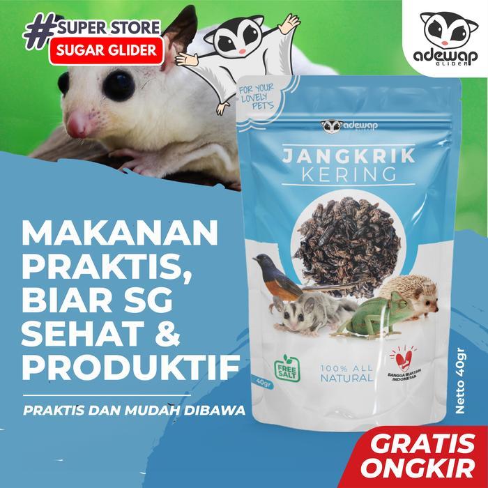 Jangkrik Kering Makanan Pakan Burung Camilan Kaya Protein
