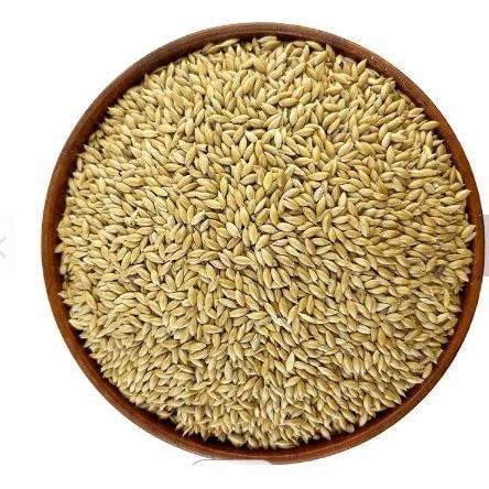 Milet Canary Seed Pakan Burung Kenari Pakan Biji Milet Kenari Fresh Original #Gratisongkir