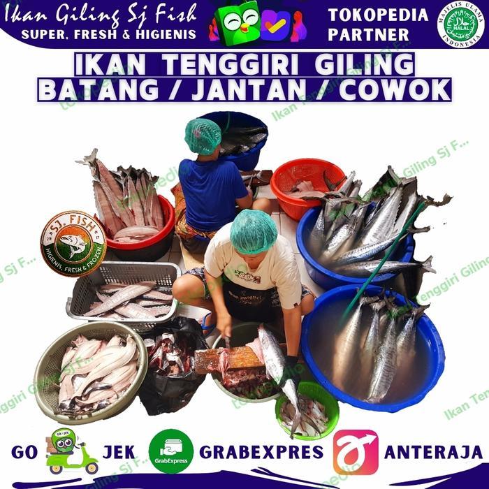 Ikan Tenggiri Giling Jantan - Batang - Bulat