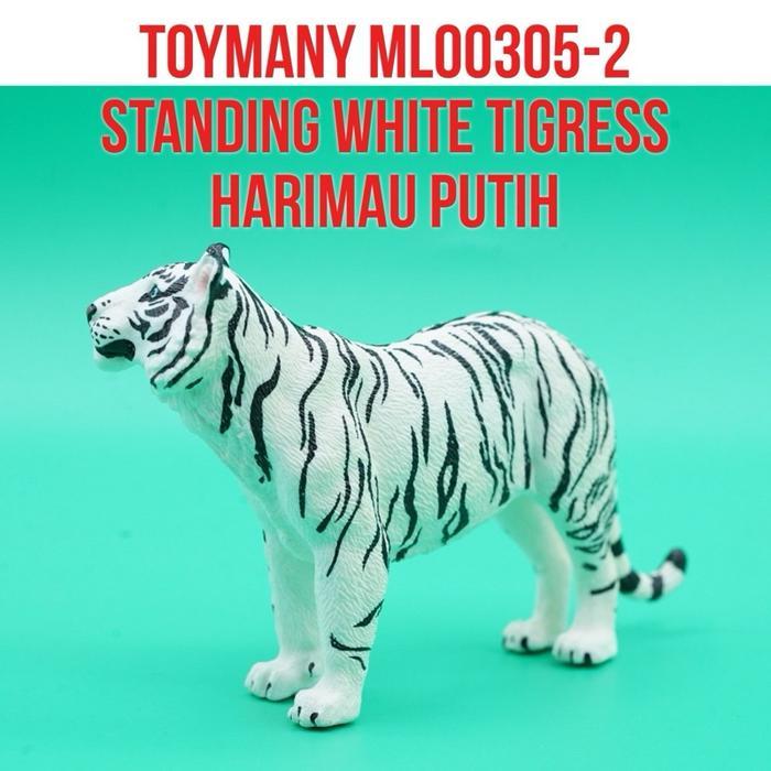 Grafi - Toymany Ml00305-2 White Tigress Tiger Macan Harimau Putih Bengala Bengal Betina Panthera