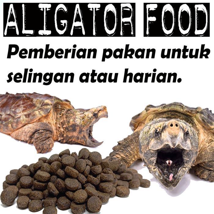 Viva - Aligator Food Pakan Pelet Kura Air Cst Common Snapping Turtle Reptile