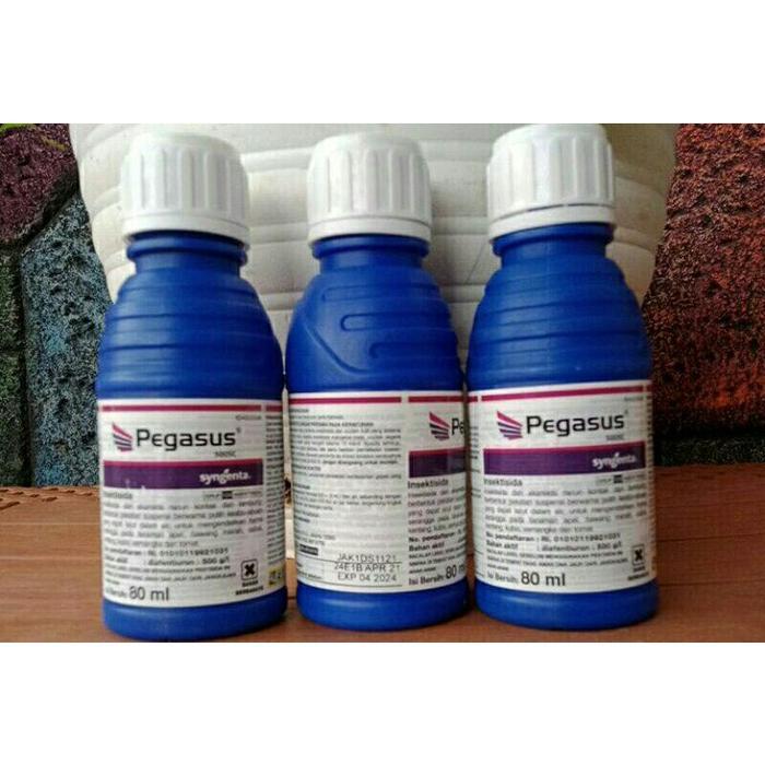 pegasus 80ml insektisida