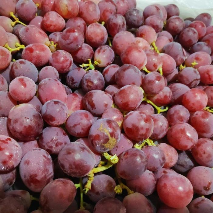 anggur merah china 500 gram Makanan