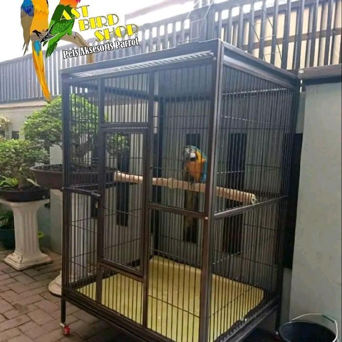 Kandang macaw kandang burung parrot besar