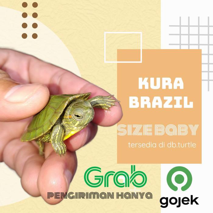 REDAY Terlaris Koleksi Kura2 Brazil baby Promo Murah