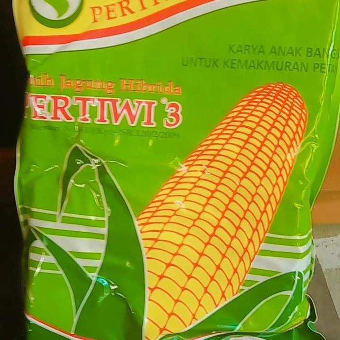 benih jagung hibrida pertiwi 3 5kg