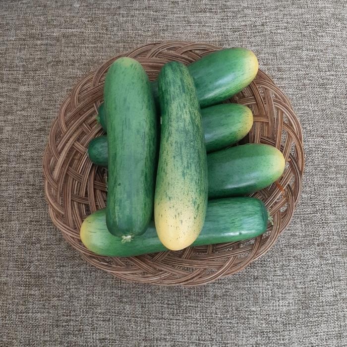 Bonteng artificial sayuran imitasi buatan cucumber pajangan hiasan