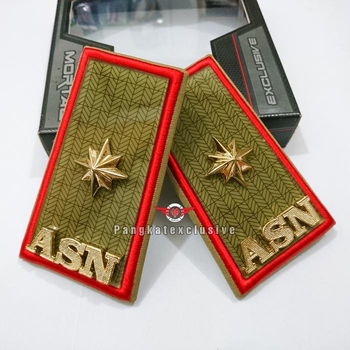 PANGKAT ASN SUMSEL 4C