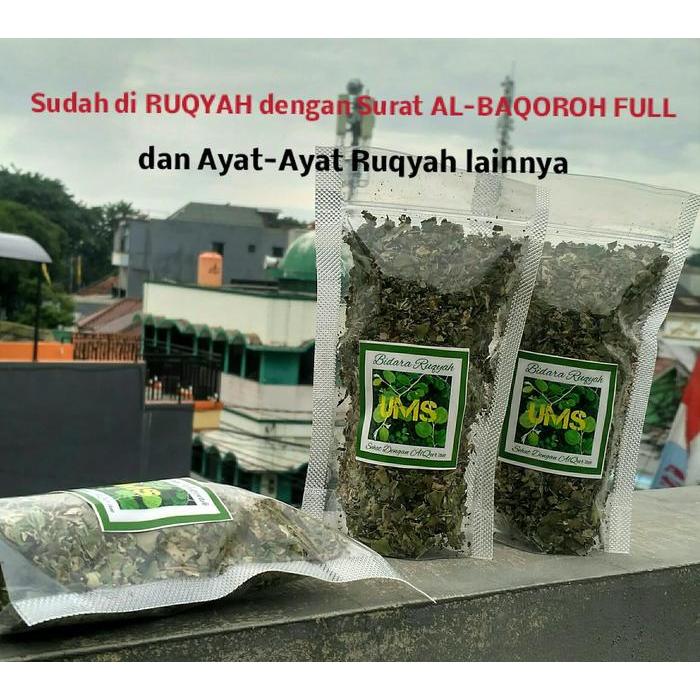 NEW TEH BIDARA RUQYAH TEH DAUN BIDARA ARAB TEH RUQYAH BIDARA