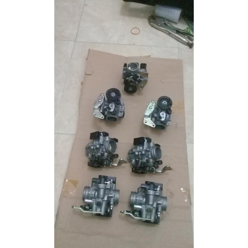 Tb Xeon 1Lb