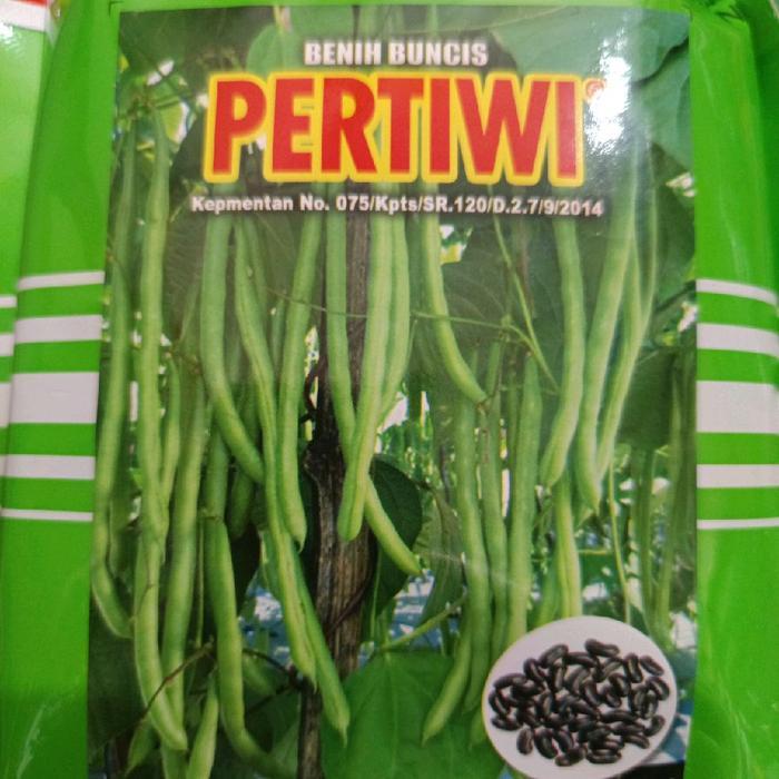 BENIH BUNCIS PERTIWI 500GRAM,BENIH BUNCIS UNGGUL,BENIH BUNCIS TERBAIK