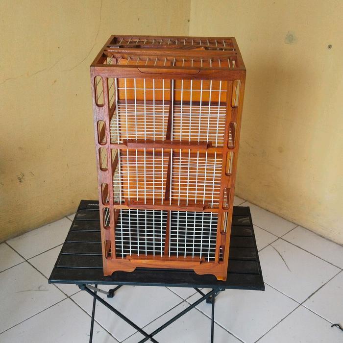 Dongdang Merpati / Dongdang Lepas / Dongdang Jati fiber / Dongdang Lepas merpati / Dongdang terbang