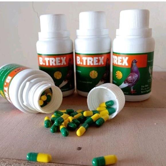 Promo jamu merpati btrex original per 5 butir