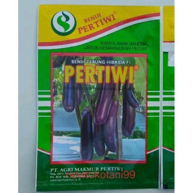 4bdw- Benih Bibit Terong Ungu Hibrida Pertiwi F1 Terong Pertiwi Terung Ungu 5 Gram Tanaman