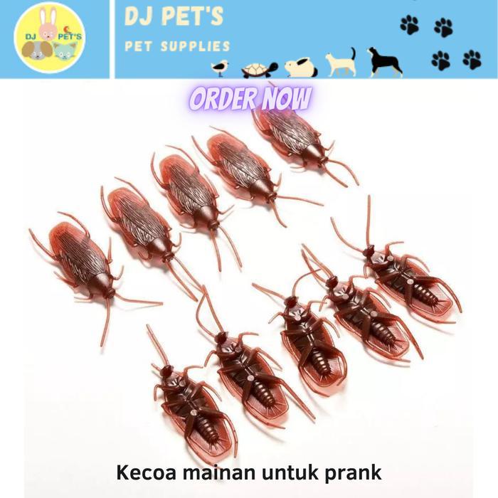 mainan kecoa palsu bisa untuk kucing atau ngeprank