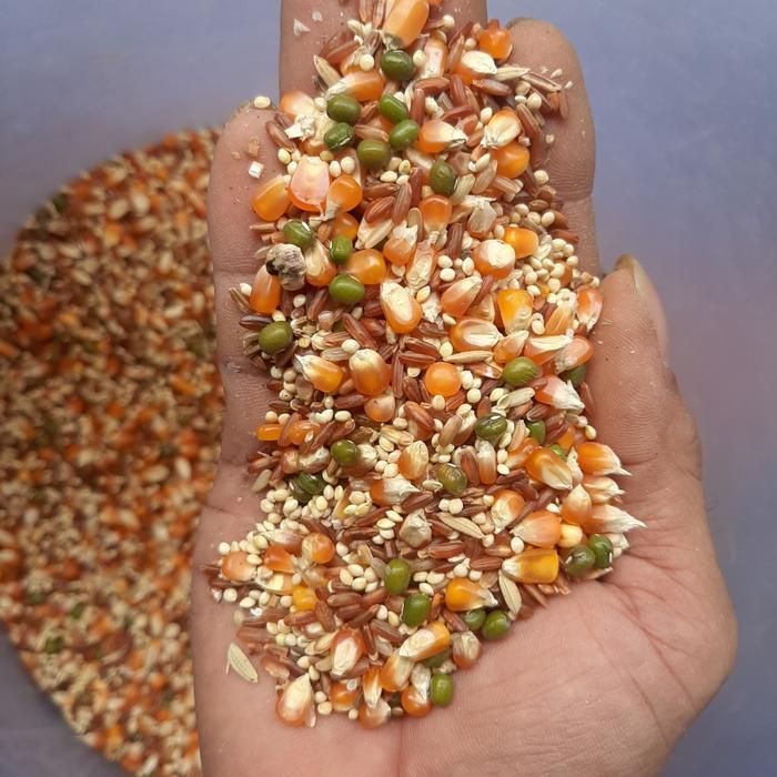 Per 1Kg Mix Jakmil Dengan Jagung Kristal, Milet, Beras Merah, Burung Merpati Makanan Burung Dan Ayam