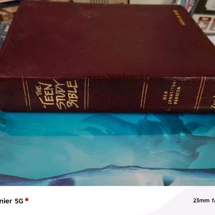 NIV Study Bible NIV Leathersoft Brown Original For Teenager