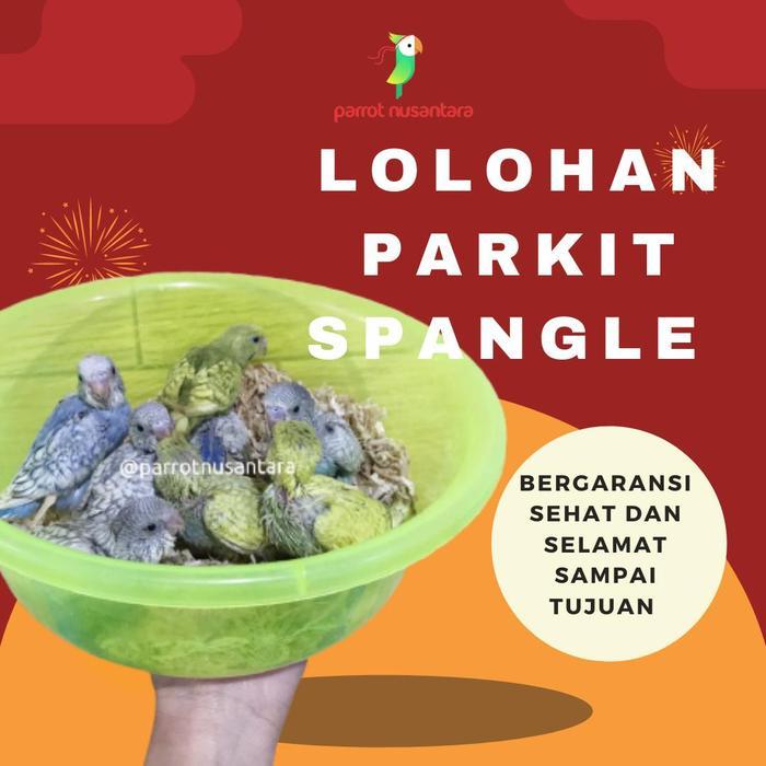 lolohan parkit spangel