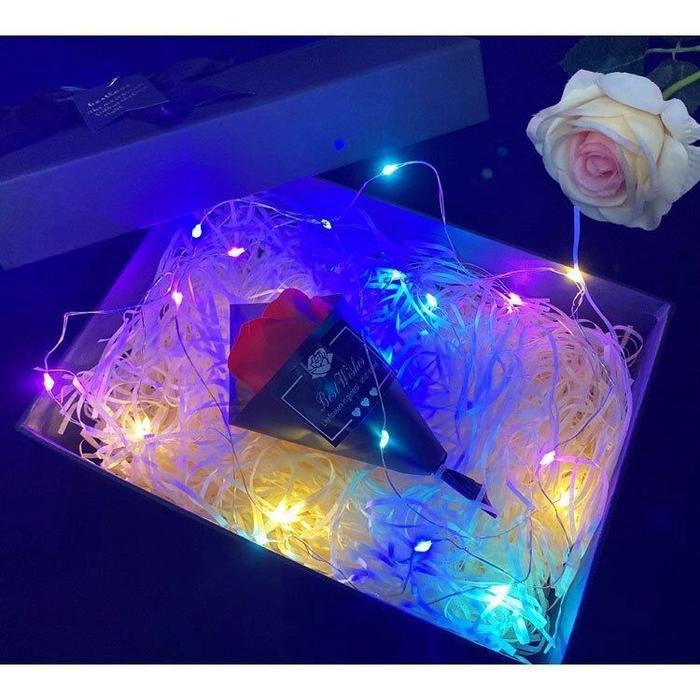 NEW Lampu LED TUMBLR / Lampu strip dekorasi Waterproof(dengan baterai) 1M 10 led+ Baterai