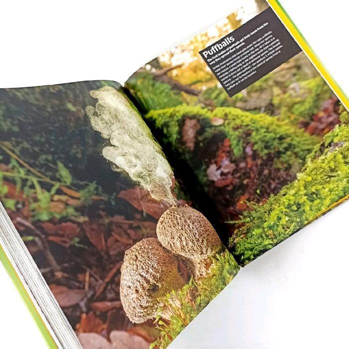 Dk Knowledge Encyclopedia Plants And Fungi Our Growing World As You'Ve Never Seen It Before Kids