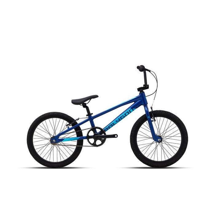 Polygon Rogue 20 Sepeda Bmx Anak