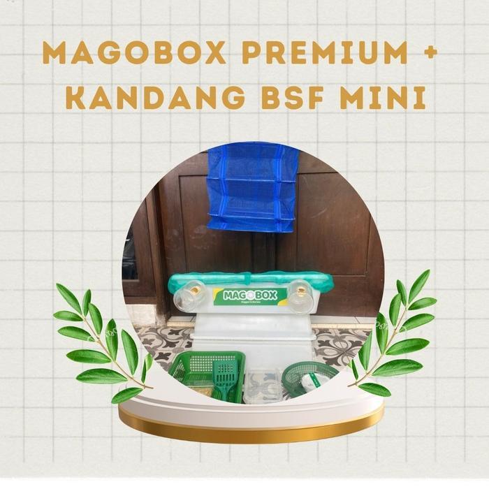Magobox White Premium Plus Kandang BSF Mini Special Request