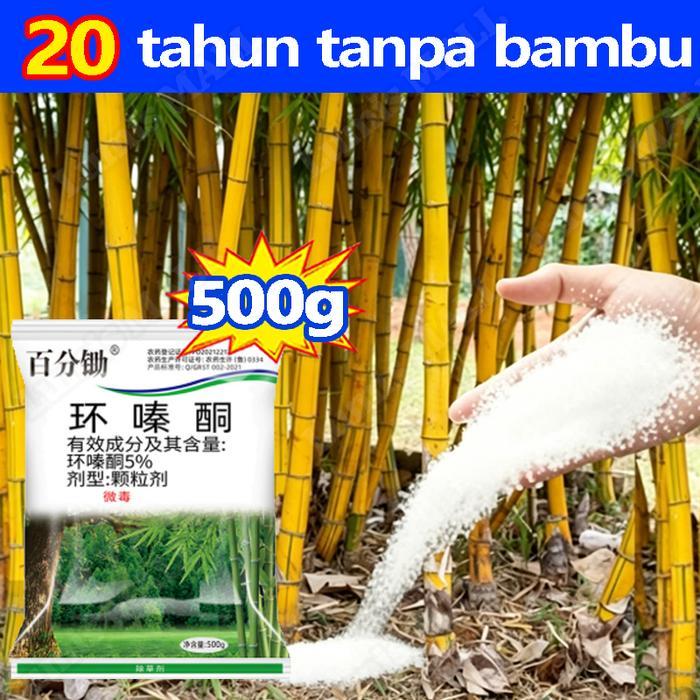 PROMO COD racun rumput paling ampuh 500g herbisida racun bambu Pembasmi rumput liar Obat pembunuh