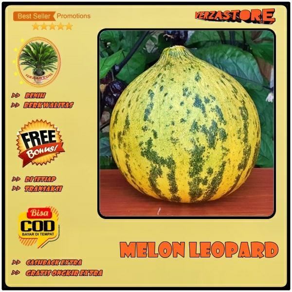 Biji Benih Buah Melon Paket 5 Macam Benih Buah-Buahan Melon