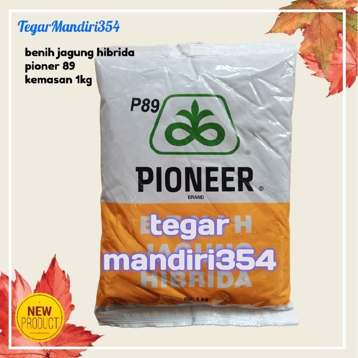 Benih Jagung Hibrida Pioner 89 P89 Kemasan 1Kg Benih Jagung P89