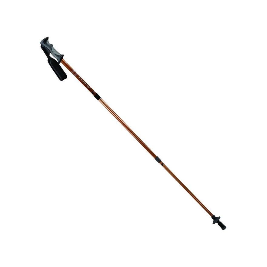 Eiger Tongkat Hiking Eiger Trekking Pole 2 Section G970 Tongkat Gunung Tongkat Pendakian Outdoor