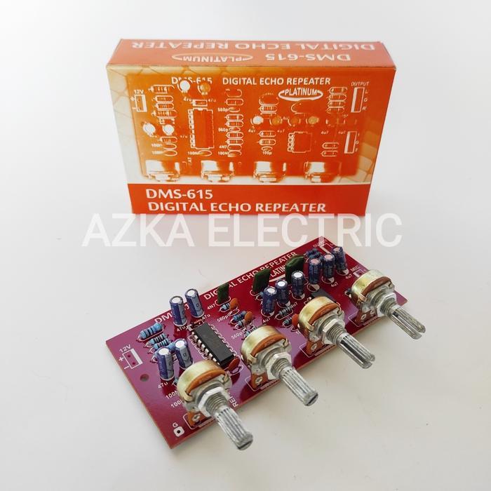 ROBOT - Kit Digital Echo Repeater Plus 2 Mic DMS 615