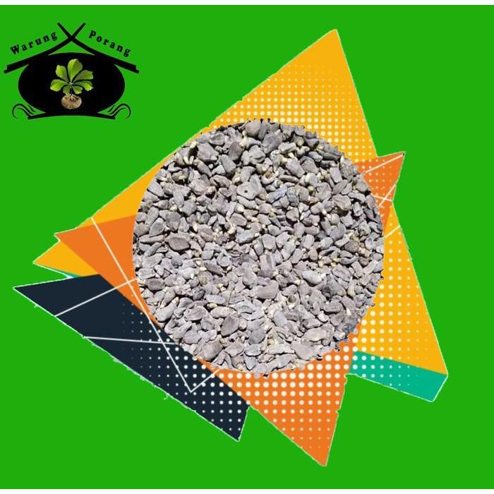 Bibit Biji Bunga Spora Porang 1Kg Edisi Terbatas