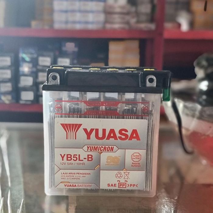 Aki Yuasa Yb5L- B