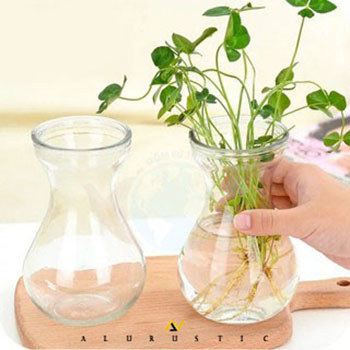 VAS BUNGA KACA BENING | VAS KACA BALON | VAS KACA BULAT | VAS TANAMAN HIAS | VAS TANAMAN HIDUP | VAS