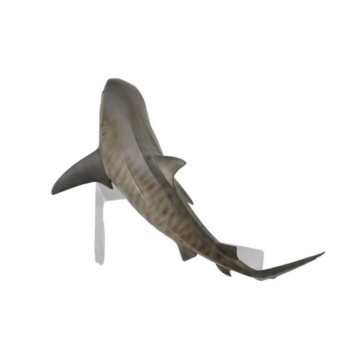 Collecta Figure Tiger Shark 88661 by Zuka