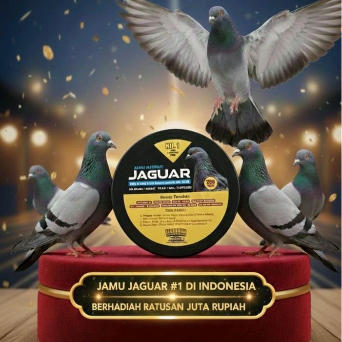 Jamu Merpati Jaguar Isi 100 Butir Ada Uangnya Di Dalam Botol - Thepetcarehouse