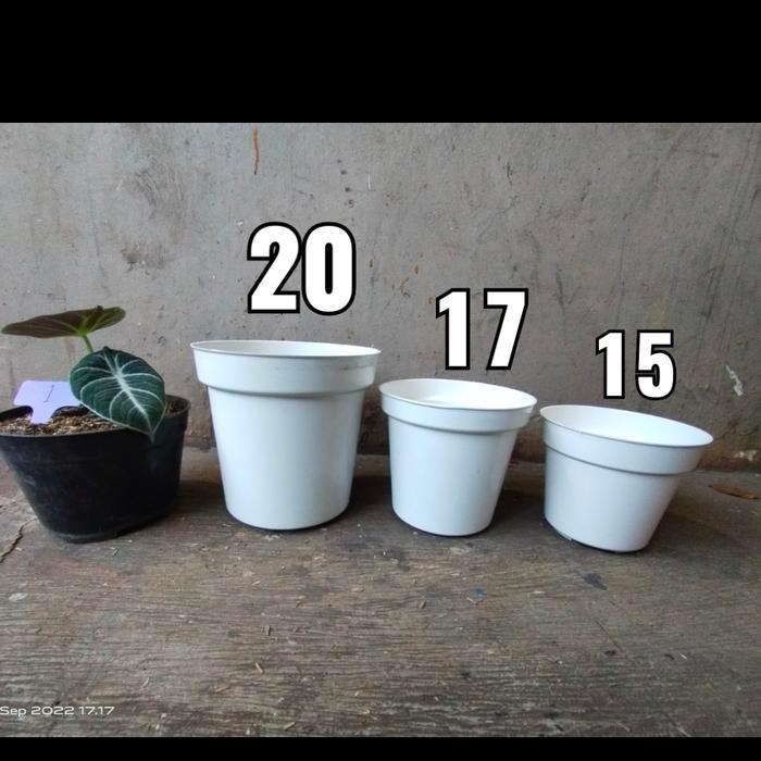 SALE!! Pot Tinggi Srondol Putih, Hitam, pot tinggi murah, pot 20, 17, 15