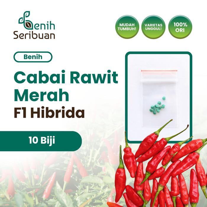 Benih Cabe Rawit Hibrida F1 Lentera Benih Cabai Rawit Merah Setan