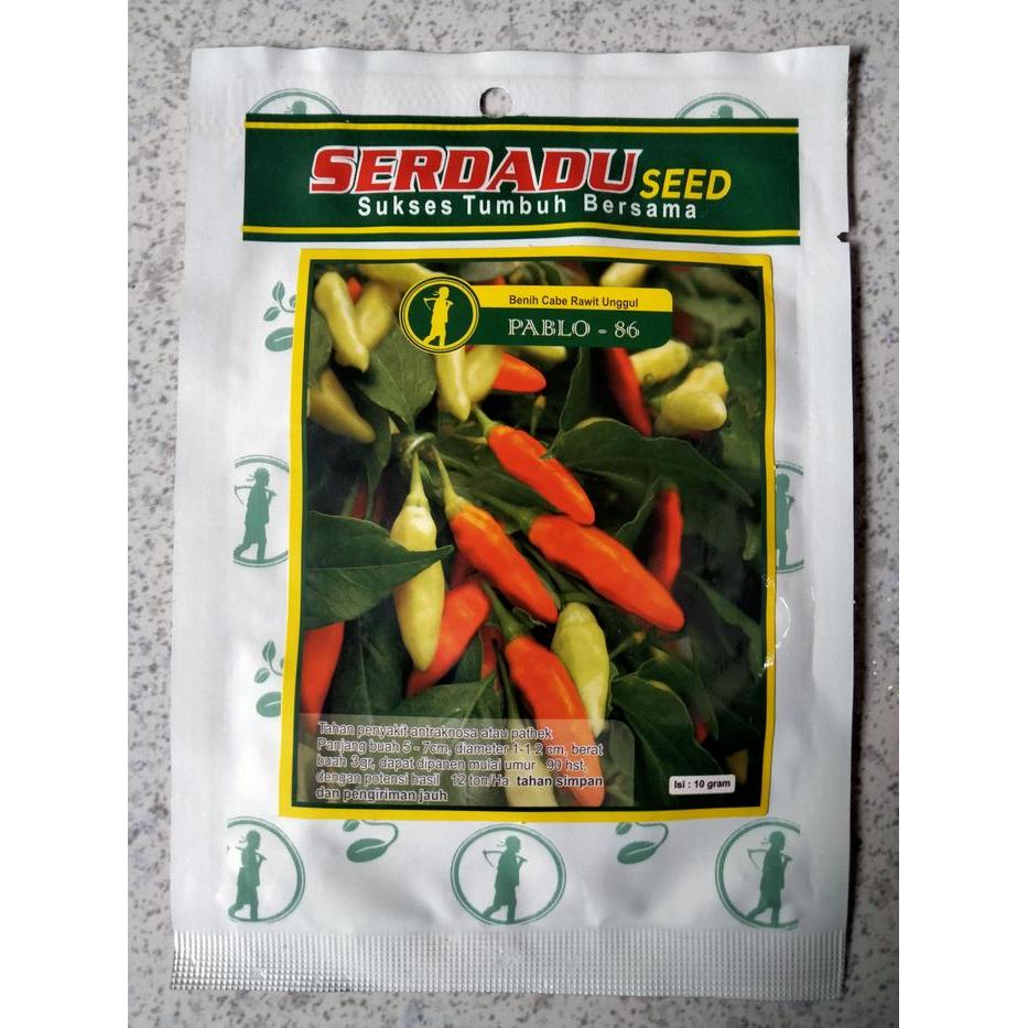 ASLI Benih Cabe Rawit PABLO 86 10 Gram - Bibit Cabai PABLO 86 - CR CRM PABLO 86 READY STOCK
