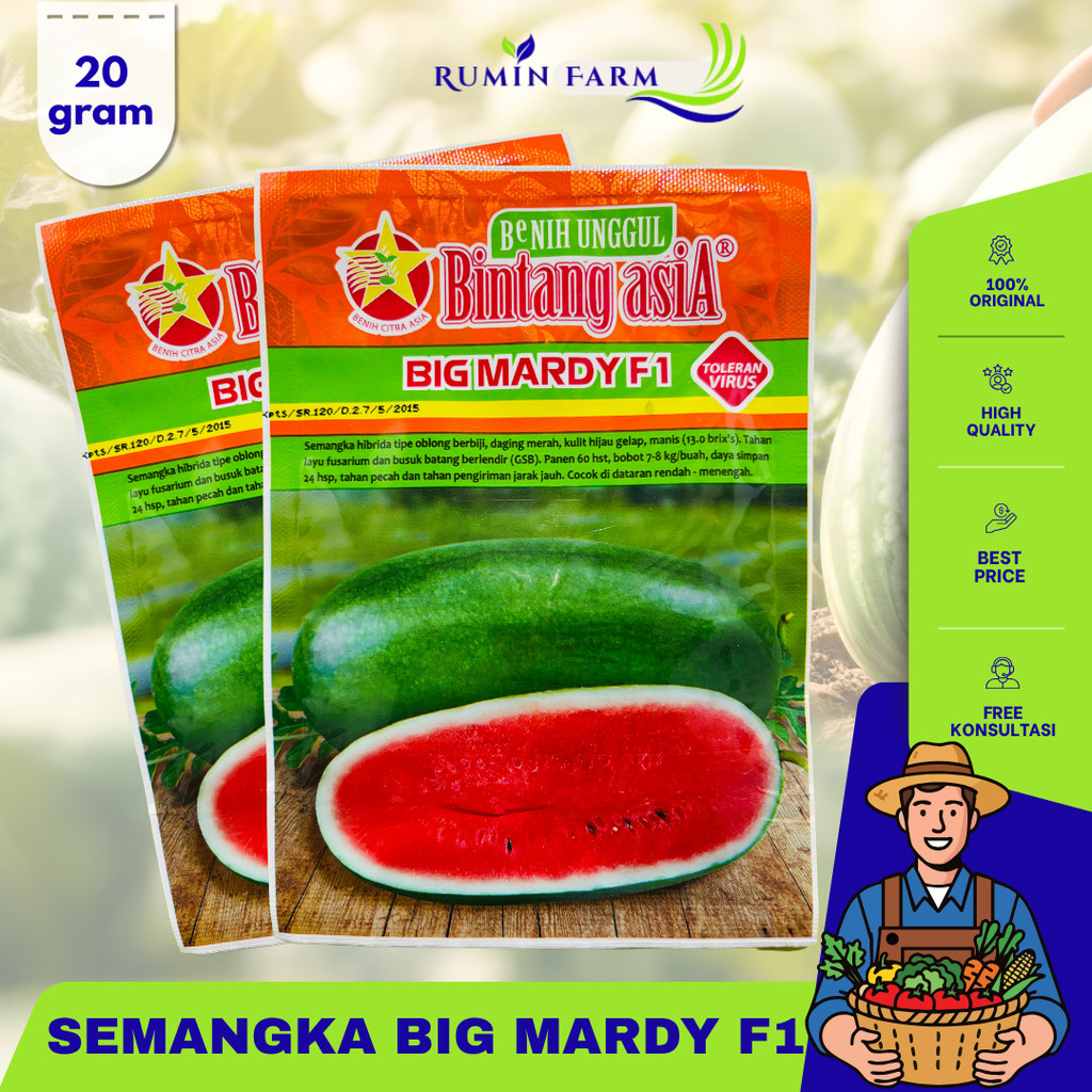 Benih Semangka Big Mardy  Cap Bintang Asia