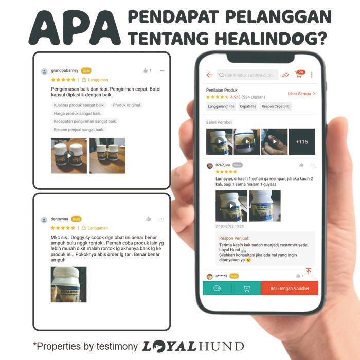 Vitamin Bulu Anjing Rontok Dan Kusam Obat Anjing Untuk Bulu Rontok Dog Promo 