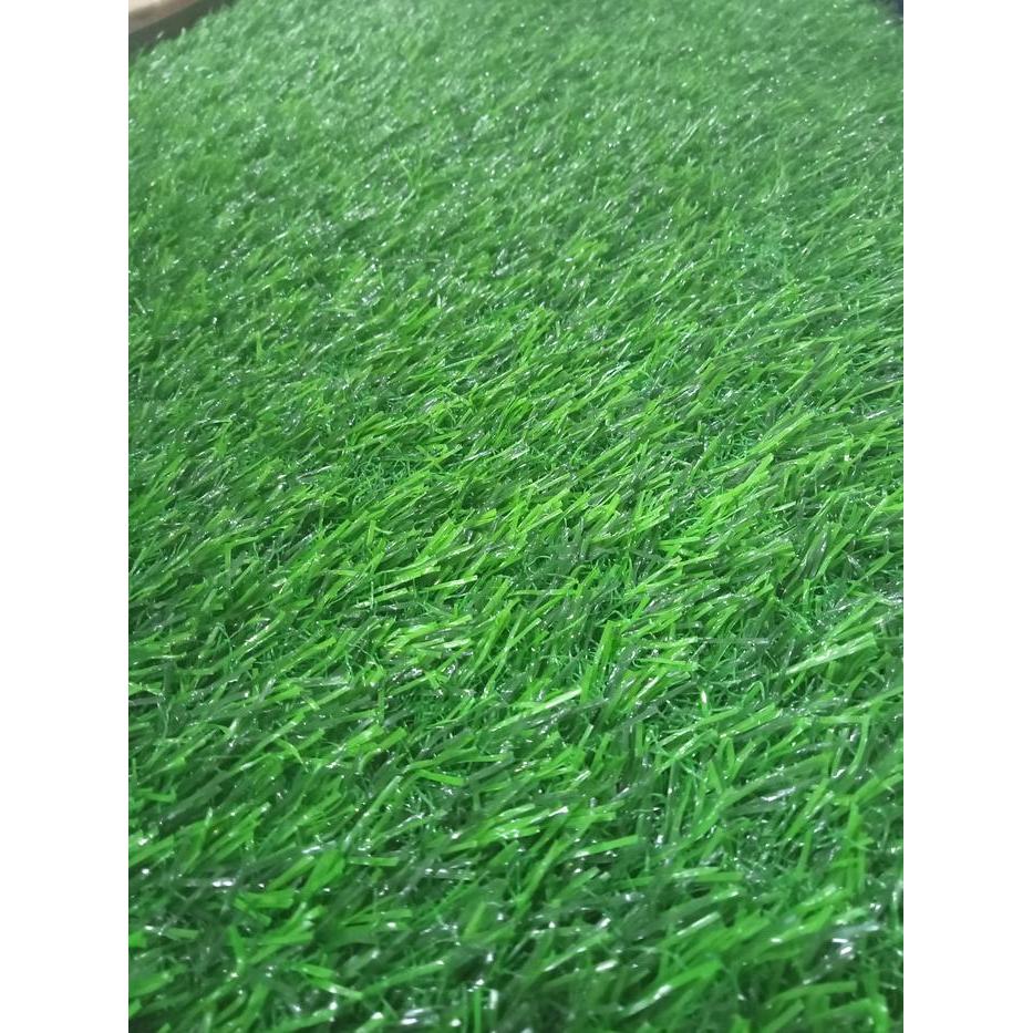 Karpet Rumput Sintetis - Rumput Sintetis Swiss