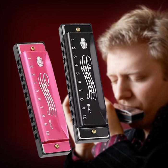 Harmonika 10 - Hole Harmonica Chromatic Logam Alat Musik Harmonika Chromatic Kromatik Dengan Kotak