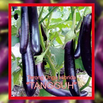 Paket Hemat Benih/Bibit Eceran (Sayuran Dan Buah) Promo 