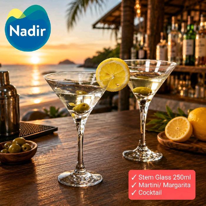 Gelas MARTINI 25cl NADIR/ Gelas Bar Martini/ Stem Glass Martini 7228