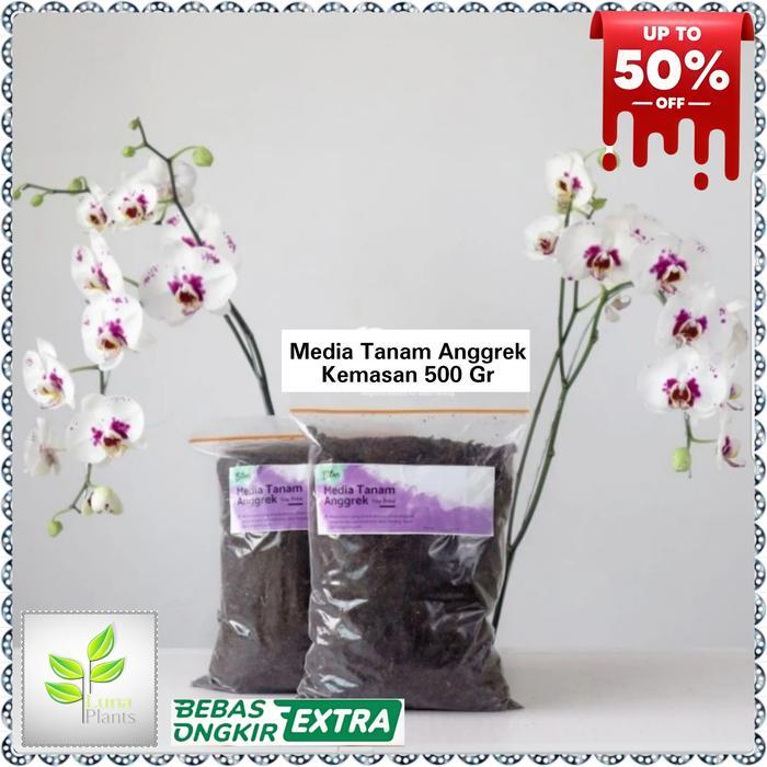 MEDIA TANAM ANGGREK - MEDIA ANGGREK
