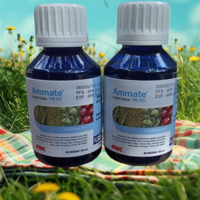Ammate 100Ml Insektisida