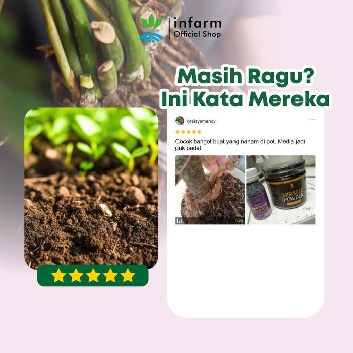 4bdw- Infarm - Infarm Miracle Powder Pupuk Asam Humat 300 Gram Pupuk Pembenah Tanah &