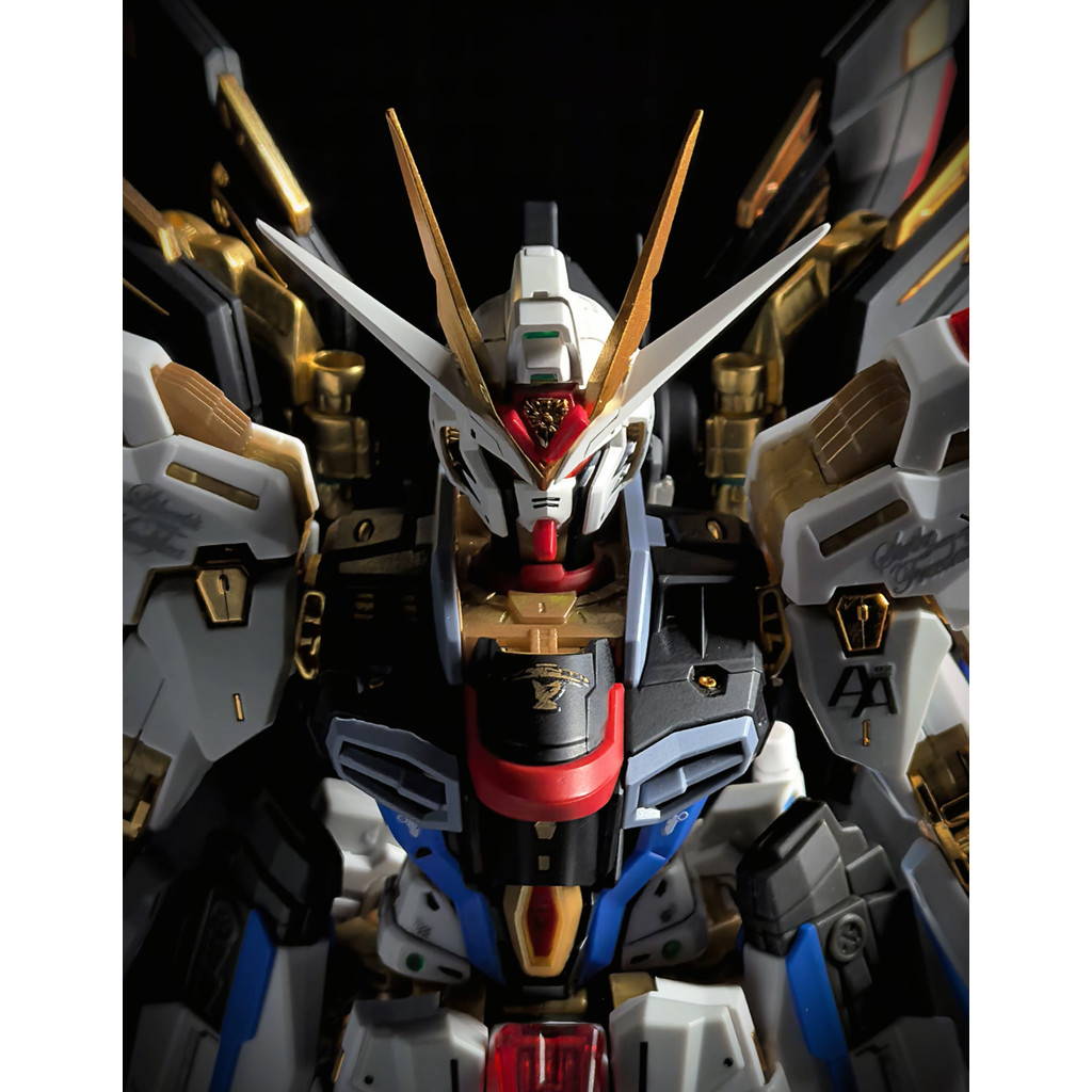Revised EditionWUJIN EL MGEX MG 1100 Strike Freedom Assembly el Kit Plastic el Toys Gifts